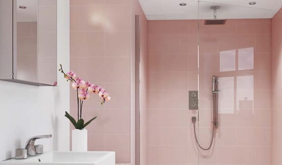 Bright Shower Pack