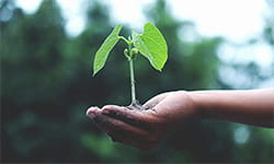Bristan Sustainable Partnerships