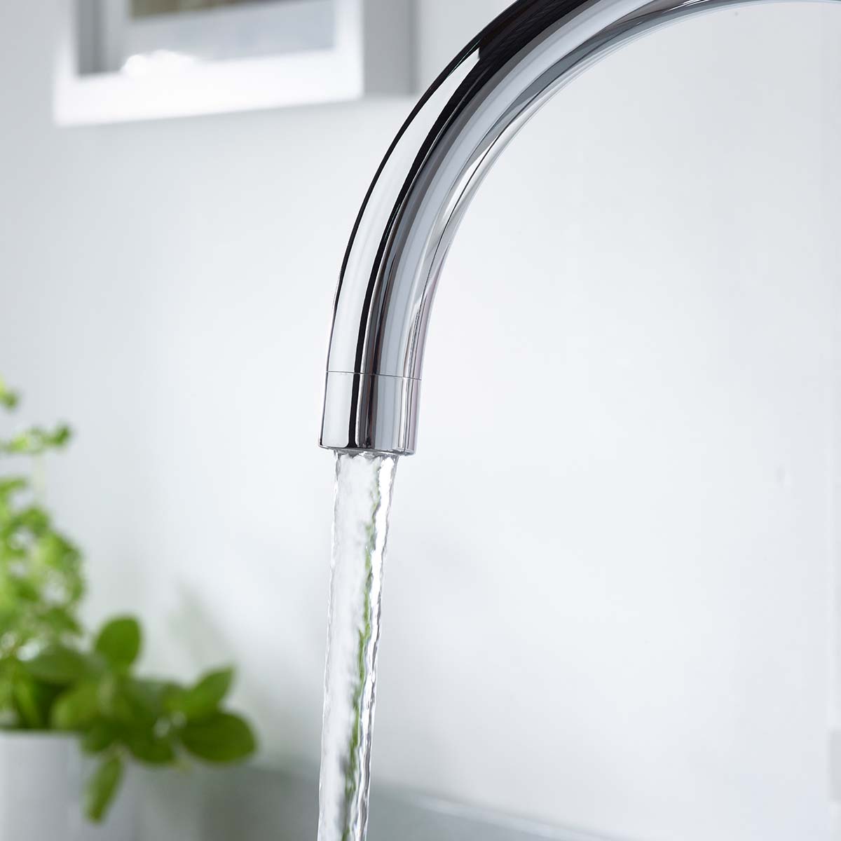 Product Additional Web Image 2