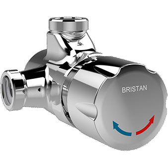 Shower Valve with Vandal Resistant Shower Head