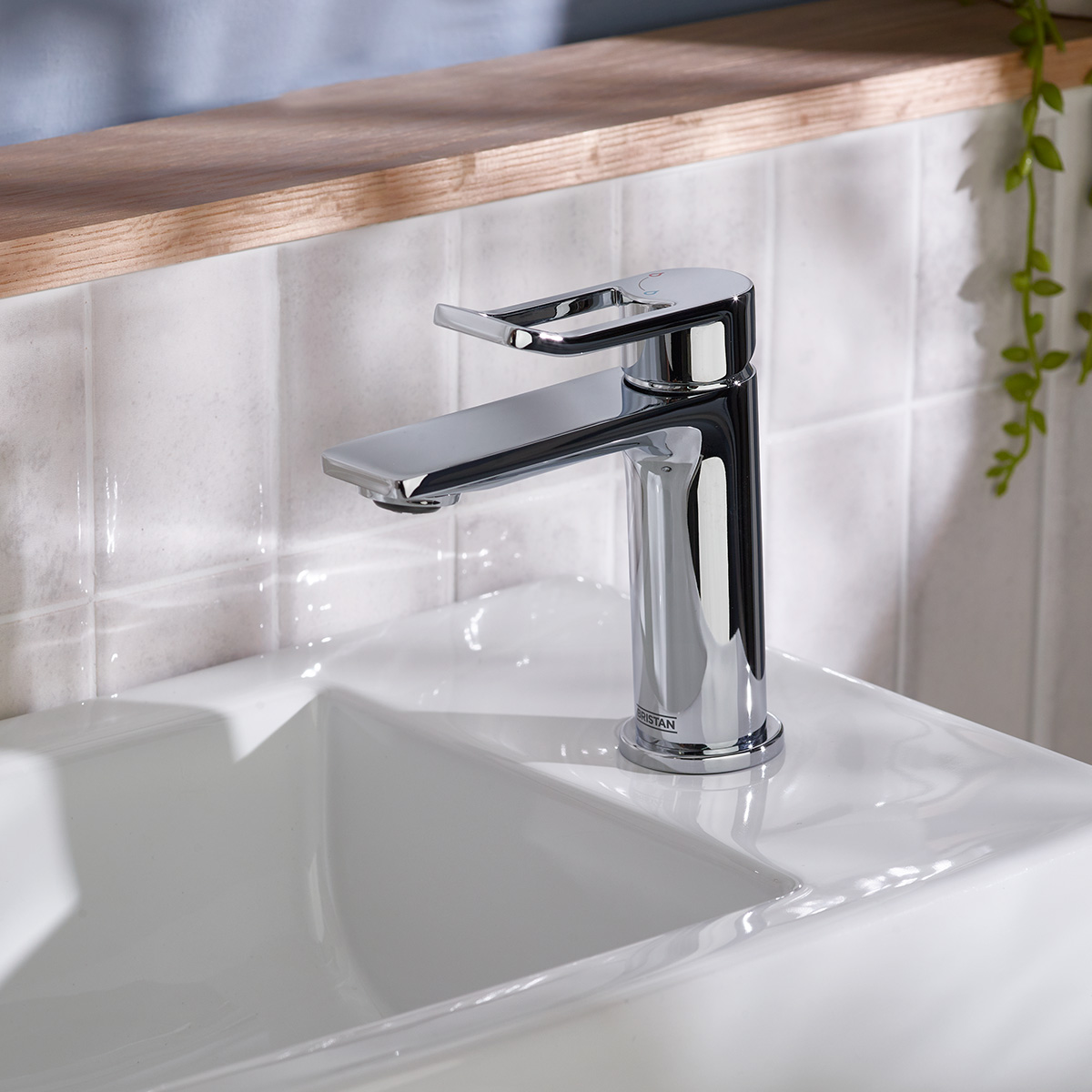 Product Additional Web Image 4