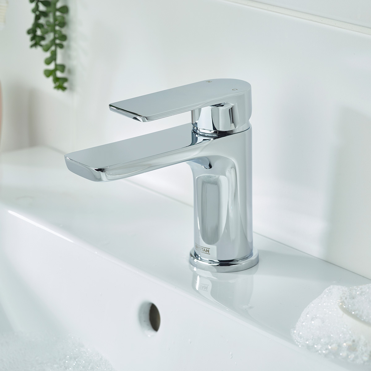Product Additional Web Image 1