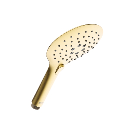 Large Round 3 Function Shower Handset Brushed Brass
