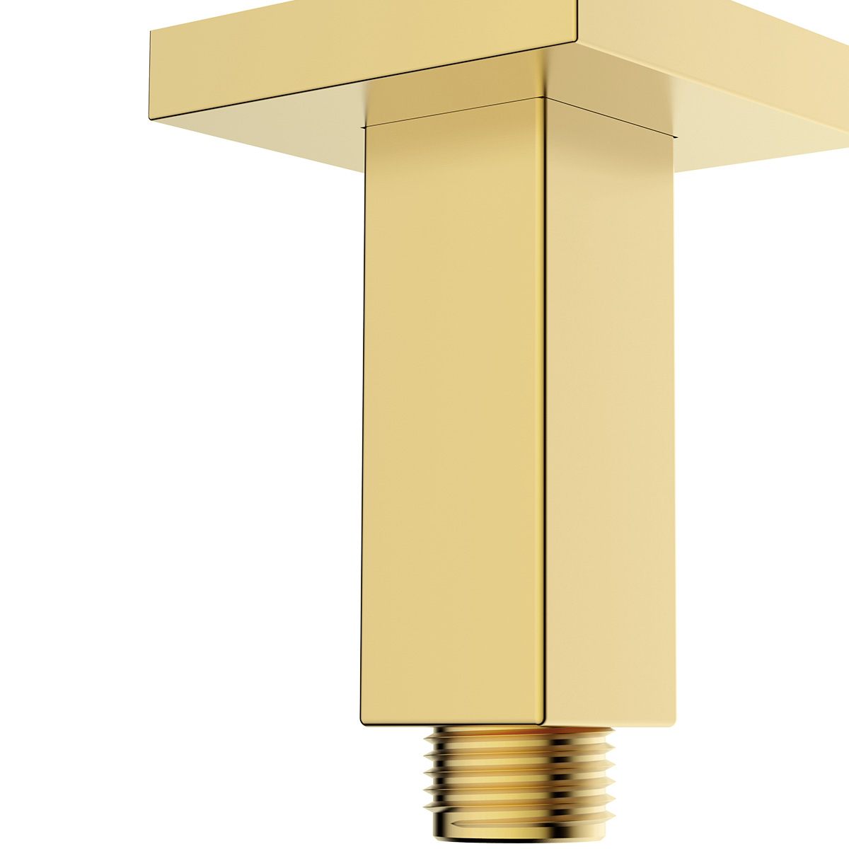 Product Additional Web Image 1