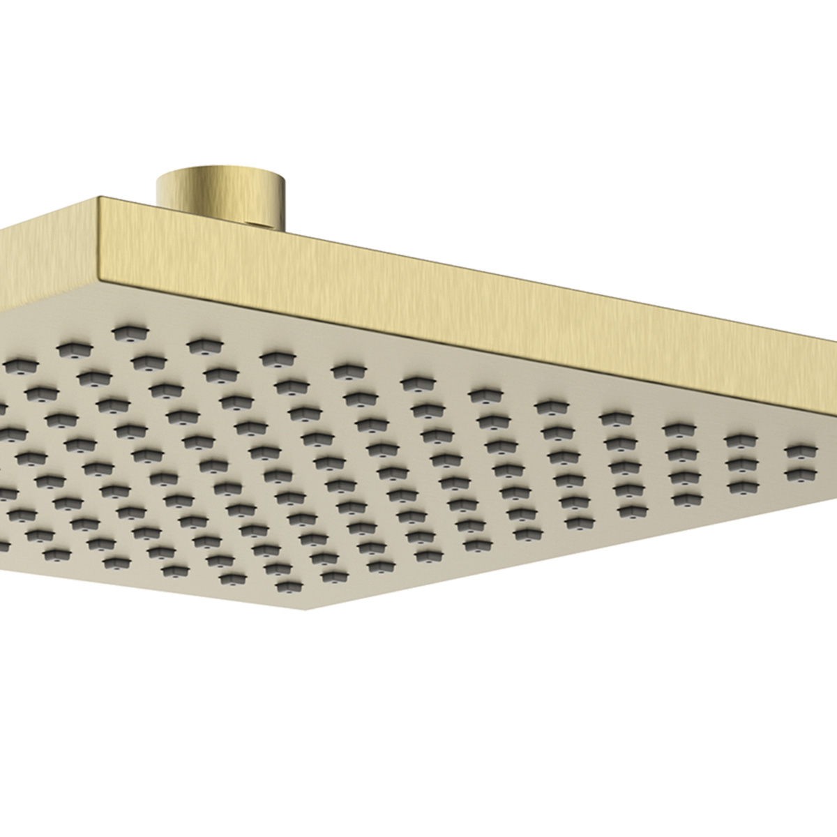 Product Additional Web Image 2