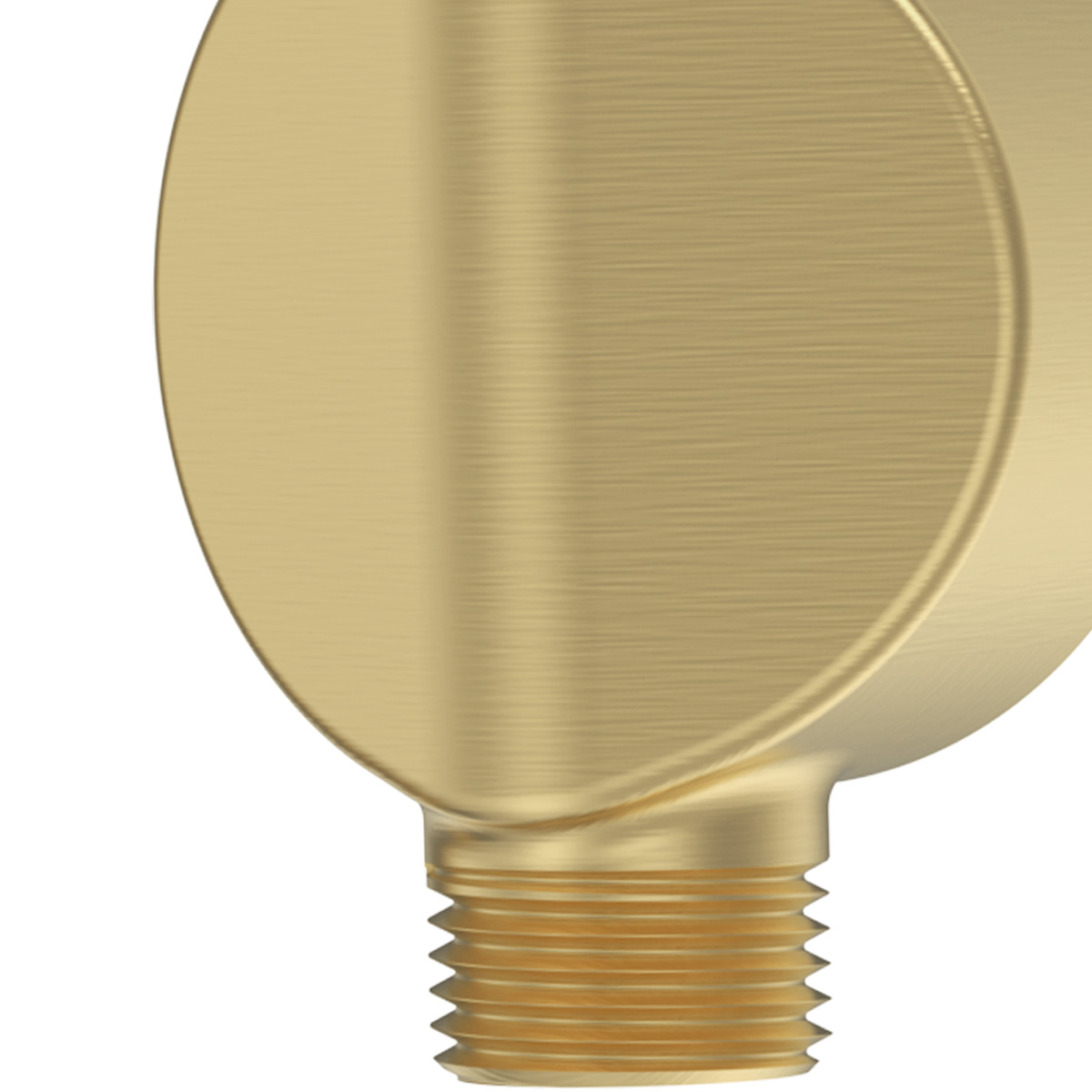 Product Additional Web Image 1