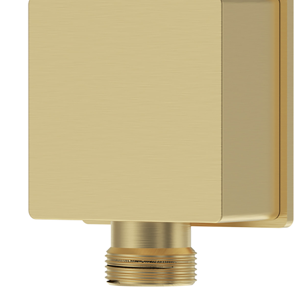 Product Additional Web Image 1